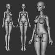 2.jpg BJD kit - 7 dolls 3D model bjd Female \ female \ figurines \ articulated doll \ ooak \ 3d print \ character \ face