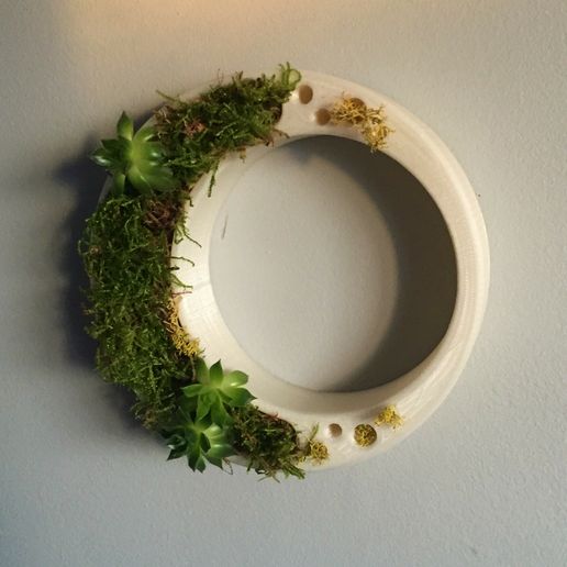 IMG_3827.jpg Pflanzer Flower Pot