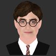 35.jpg Harry Potter bust ready for full color 3D printing