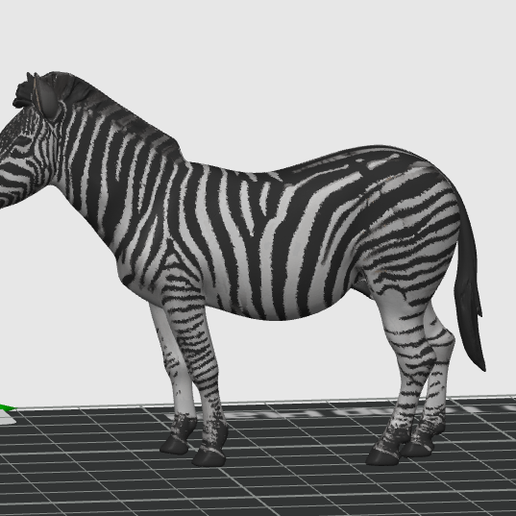 🦓 ZEBRA・ 3MF File for 3D printing・Cults