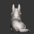 German-Shepherd11.jpg German Shepherd 3D print model