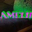 C224FDE4-01E0-41CA-BED1-FD3D5558A942.jpg NameTag Led Names Lamp Amelie