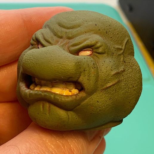 6EF1C431-FACF-4CDF-9689-14E378095E3E.jpeg Teenage mutant ninja turtle head