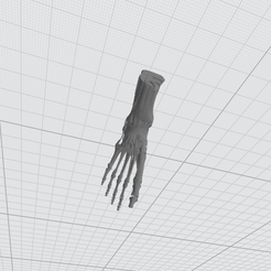 Foot-1.png Télécharger fichier STL Pied de squelette • Plan pour impression 3D, grandpaben