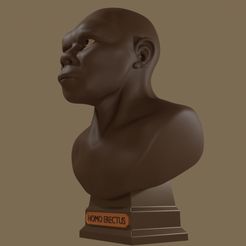 ScreenShot002.jpg Free STL file Homo Erectus・Template to download and 3D print