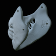 Busta-na-masky-12.png fantasy / horror mouth mask 4 3d printing