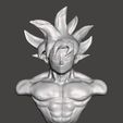 goku-ultrainstinto.jpg Ultrainstinct Goku Bust