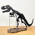 rex_classic-pic6.jpg Free STL file [3Dino Puzzle] Classic Style T-Rex・3D printable model to download