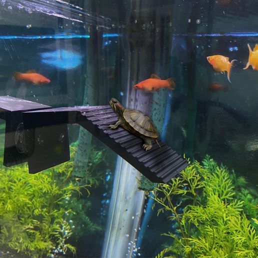 🐢 Aquarium Turtle Basking Ramp with Suction Mount (Non-Slip Design ...