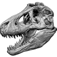 Screenshot-2024-10-31-141747.png T-Rex Skull 2.0 OBJ vers.