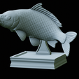 Carp-trophy-statue-36.png fish carp / Cyprinus carpio in motion trophy statue detailed texture for 3d printing