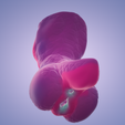 4.png Fantasie-Masturbator: Linneth der sexy Kobold (Mold+)