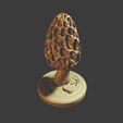 0066.png Morchella esculenta - MacroFungi Collection (5 of 10)