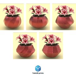 Copia-de-CAN-BE-PRINTED-IN-A-ROUND.jpg Flower pots collection / flower pots collection