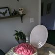 PXL_20231213_181256053.jpg Dr. Finkelstein Wearable Head with Brain