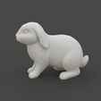 Rabbit_2.2.jpg Rabbit