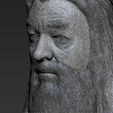 27.jpg Dumbledore from Harry Potter bust 3D printing ready stl obj
