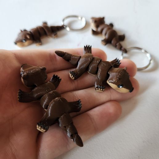 20250112_111935.jpg Winziger Otter