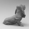 perro-3.jpg Bloodhound