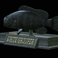 White-grouper-open-mouth-statue-21.png fish white grouper / Epinephelus aeneus open mouth statue detailed texture for 3d printing