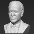2.jpg Joe Biden bust ready for full color 3D printing