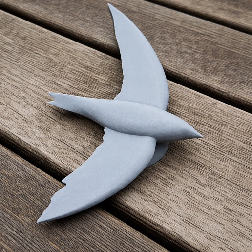 Bates's swift