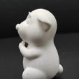 Cod1408-LittleGuineaPig-8.jpg Little Guinea Pig