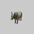 zebu-cattle.png zebu cattle
