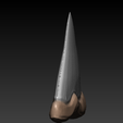 3.png STL file Shark Tooth・3D printer model to download
