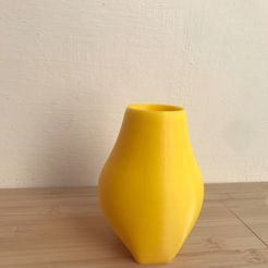 93F96EC3-922D-4414-BCF9-2F445F4CC6BC.jpg Vase Vase HOME