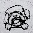 Sin-título.jpg Bichon Havana red bichon dog deco wall mural pet