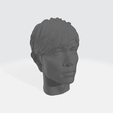 1.png Jay Chou Head 3D print model