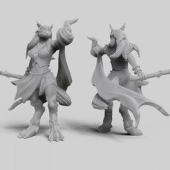 preview2_thingiverse.jpg Archivo STL gratis Híbrida Hombre Lobo Hechicera de Forma Híbrida・Diseño por impresión en 3D para descargar