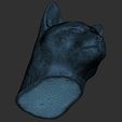 24.jpg Cougar / Mountain Lion head for 3D printing