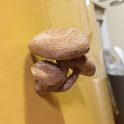 Capture_d__cran_2015-09-30___11.34.52.png Free STL file magnet mushroom 2・3D print model to download