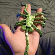 20240221_154248.jpg flexi facehugger - print in place - fidget toy - Higher Texture Version