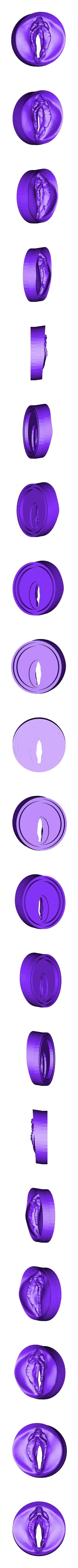 Epic Robo(1).stl can cap pussy