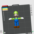 Captura-de-pantalla-2026-04-26-091718.png Luigi flexi / PRINT-IN-PLACE WITHOUT SUPPORT /3mf