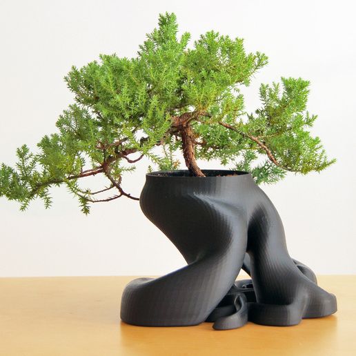 Bonsai Planter 3D model