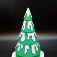 IMG_2023-11-27-16-20-22-561.jpg snow-covered Christmas tree