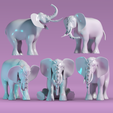 1.png Elefante - Elephant