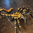 Flexi-Facehugger