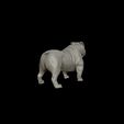 28.jpg Bulldog model 3D print model