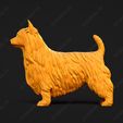 651-Australian_Terrier_Pose_01.jpg Australian Terrier Dog 3D Print Model Pose 01