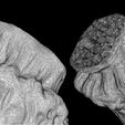 11.jpg 3D PRINTABLE MYTHOSAUR SKULL AND HORNS PACK - THE MANDALORIAN STAR WARS - HIGHLY DETAILED