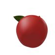 5.jpg CHERRY FRUIT VEGETABLE FOOD 3D MODEL - 3D PRINTING - OBJ - FBX - 3D PROJECT CHERRY FRUIT VEGETABLE FOOD CHERRY