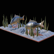 carp-scenery-45cm-3.png two carp scenery in underwather for 3d print detailed texture
