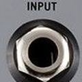 input