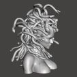 傲游截图20190615182527.jpg Medusa Head