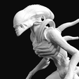alien-warrior-1b.png xenomorph warrior #3